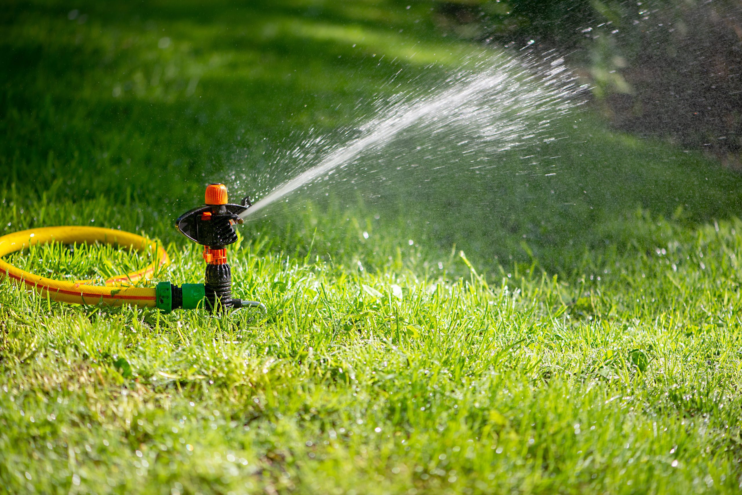 Automatic sprinkler watering green lawn in Michigan