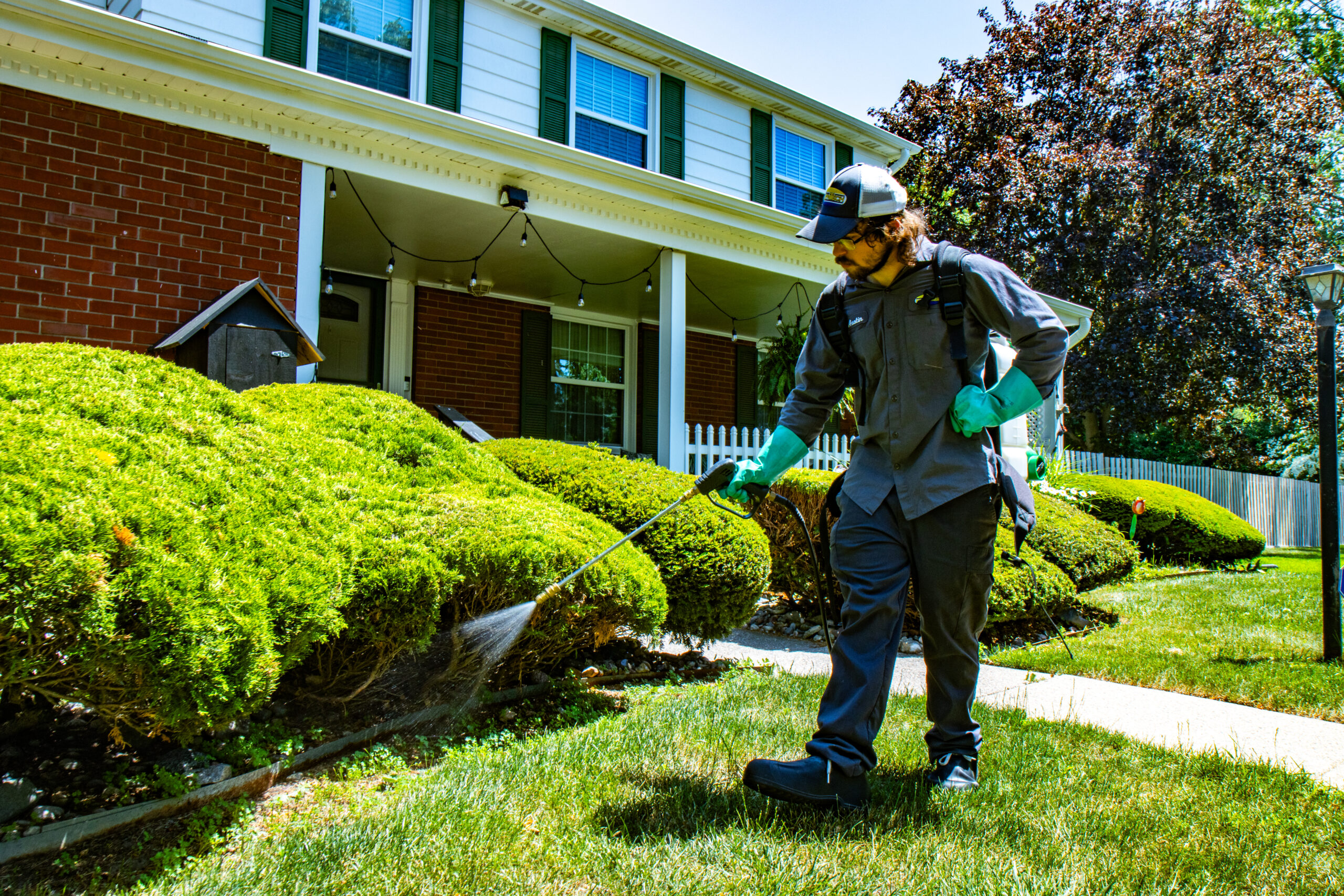 awn care technician spraying natural pest control treatment on a Grand Ledge lawn during summer.
