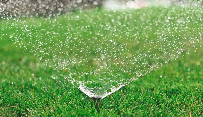 Proper lawn watering for healthier, green grass