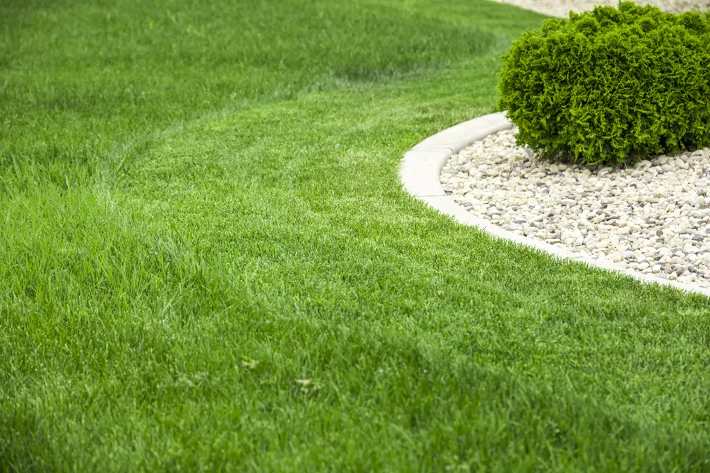 Tips for Michigan lawns during hot weather
